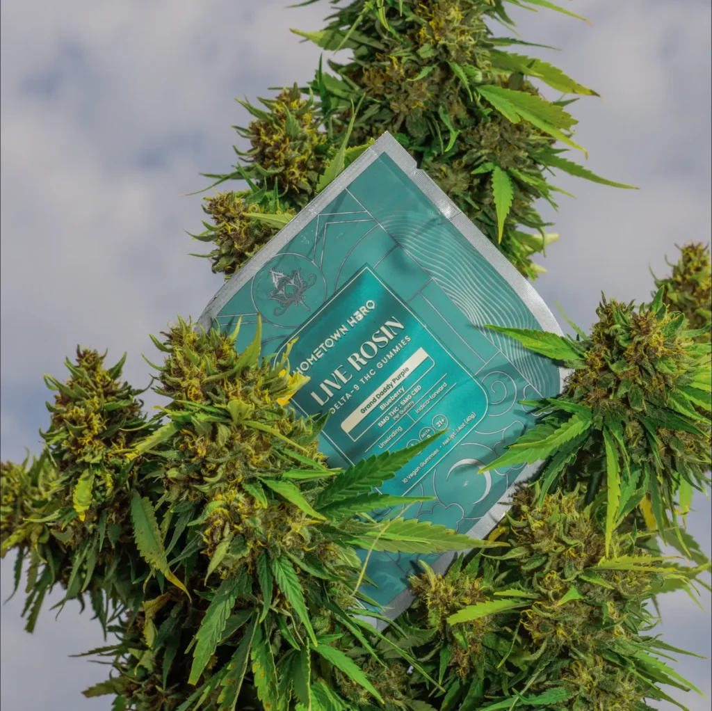 Blueberry GDP - Delta 9 Live Rosin Gummies + CBD