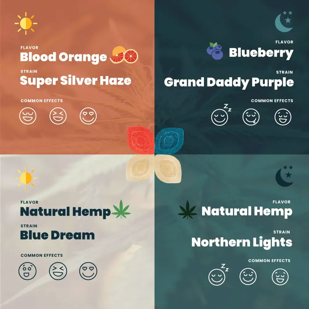 5mg Live Rosin Day & Night Discovery Pack