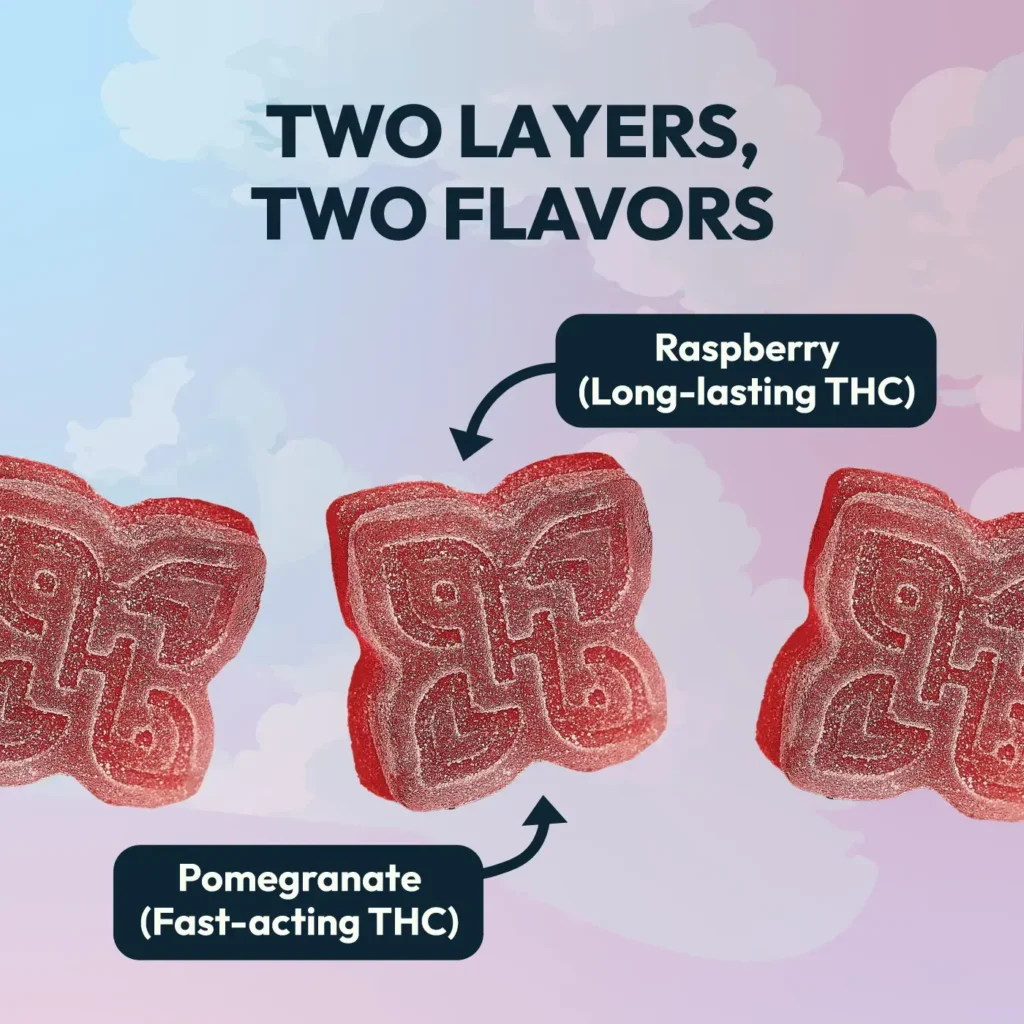 Pomegranate Raspberry - Double Take Gummies